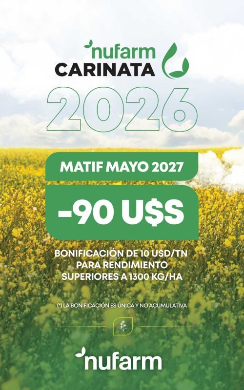 CONDICIONES-CARINATA-2026-WEB