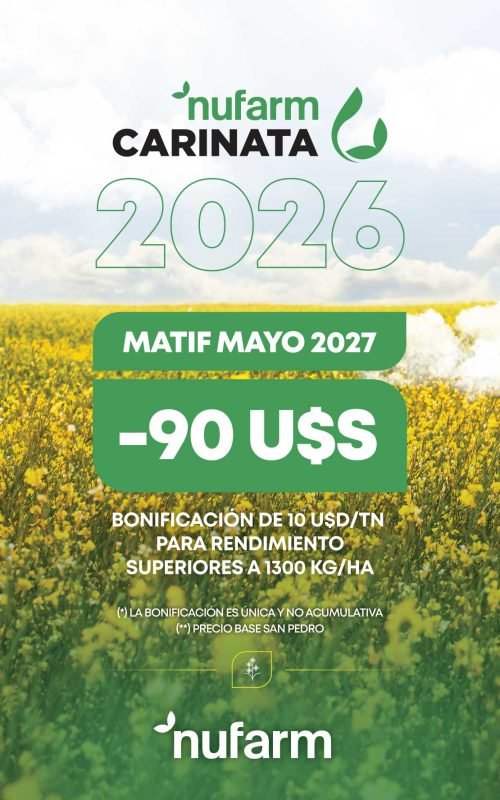 CONDICIONES-CARINATA-2026-WEB